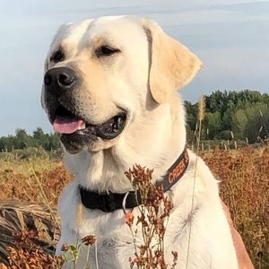 Meet your Posher, Jeanne